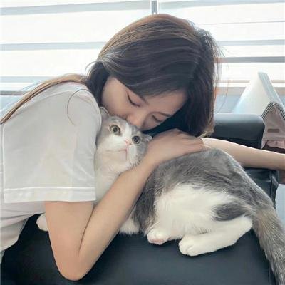 青囊传